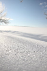 new zealand, powder snow, sparkle, winter, drifts, mood, morning
