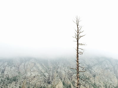 мъгливо, природата, пейзаж, облак, живописна, планински, няма хора