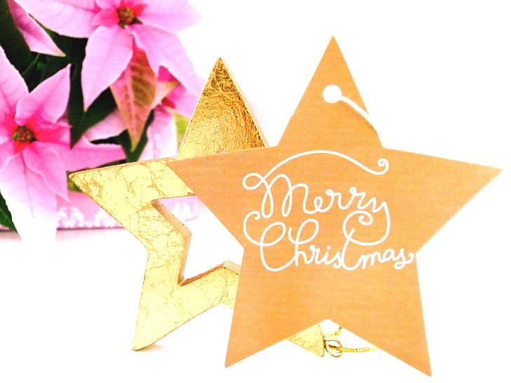 Karácsony, vágy, Boldog karácsonyt, adventsstern, Mikulásvirág, Star, arany