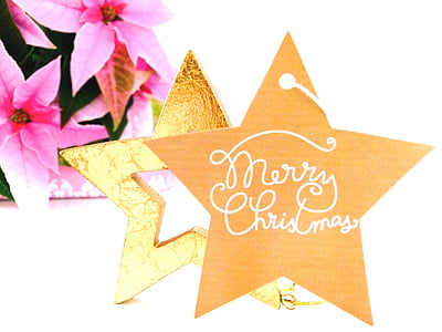 Natale, desiderio, Buon Natale, adventsstern, stella di Natale, Star, oro