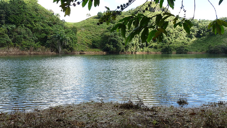 ežeras, Las terrenas, Gamta
