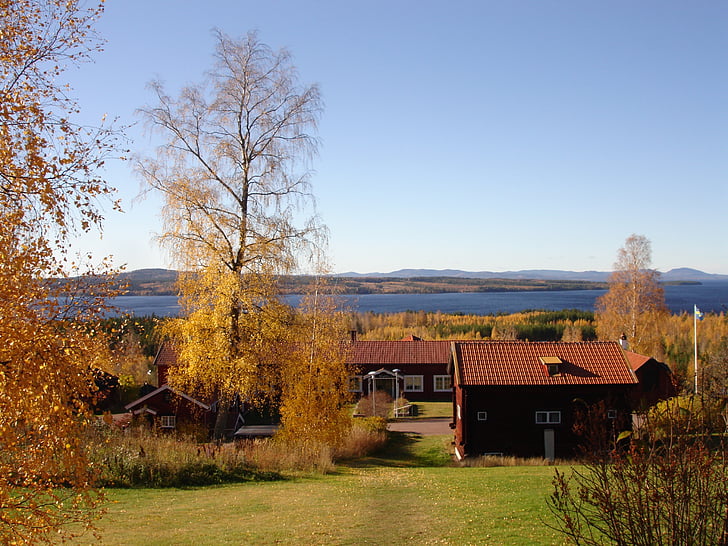 landskaber, dale, tallberg, smukt, Sverige, natur, himmelblå