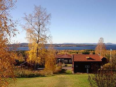 landskap, dalene, tallberg, vakkert, Sverige, natur, himmelblå