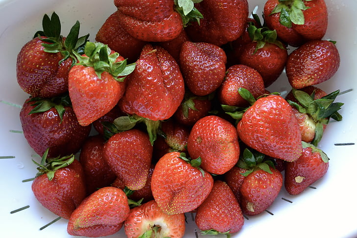 딸기, 농장, 신선한, 유기, 여름, 건강 한, 음식