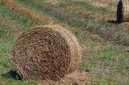 straw, bale, harvest, rural, field, agriculture, nature