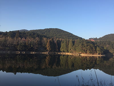my home is large and beautiful lushan, really is the night, super beauty, nature, forest, lake, tree