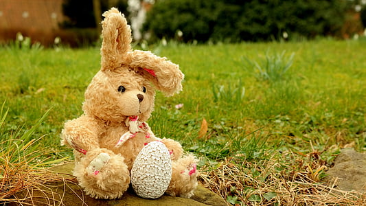 Hare, đồ chơi mềm, Vải, thú nhồi bông, gấu bông, Dễ thương, Âu yếm