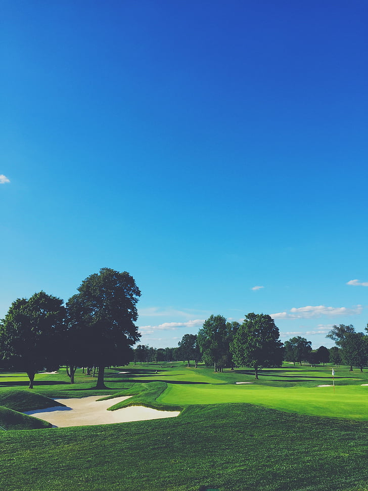 céu azul, Golf, Clube de golfe, Prado, Parque, árvores, campo de golfe