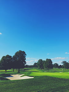 синьо небе, голф, голф клуб, ливада, парк, дървета, голф игрище