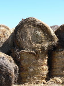 Haystacks, Montana, Hay, pertanian, lahan pertanian, adegan, gandum