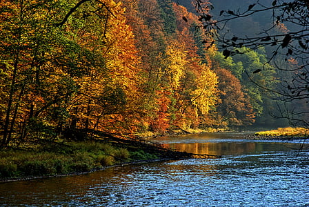 Pieniny, Dunajec, daun musim gugur, warna, pemandangan, alam, Sungai