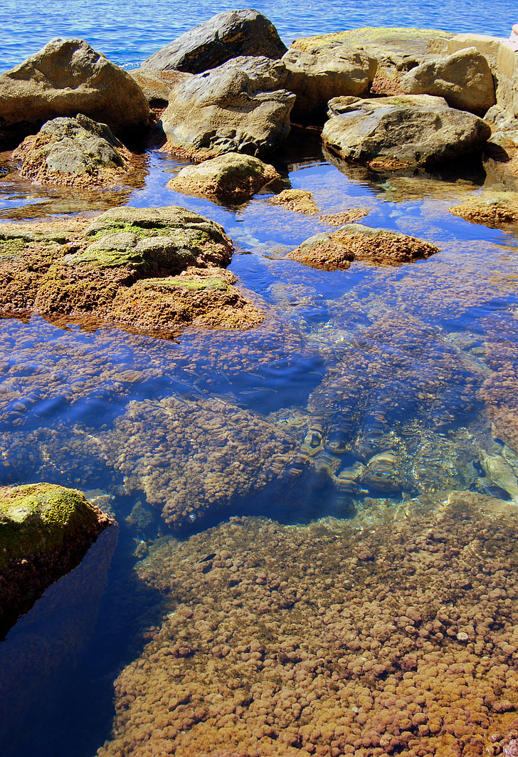 pedras, penhasco, transparente, água, mar, Claro, Costa