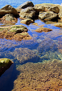 roques, penya-segat, transparents, l'aigua, Mar, clar, Costa