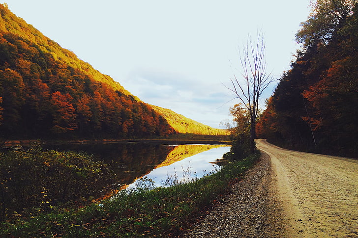autumn, fall, forest, hiking, lake, landscape, nature