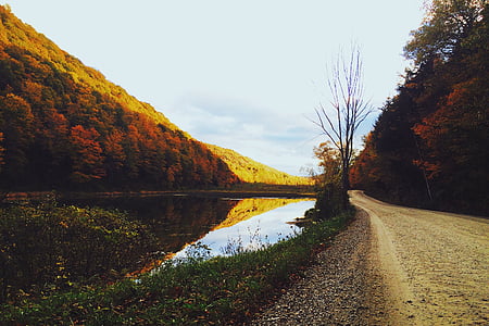 jeseni, padec, gozd, pohodništvo, jezero, krajine, narave