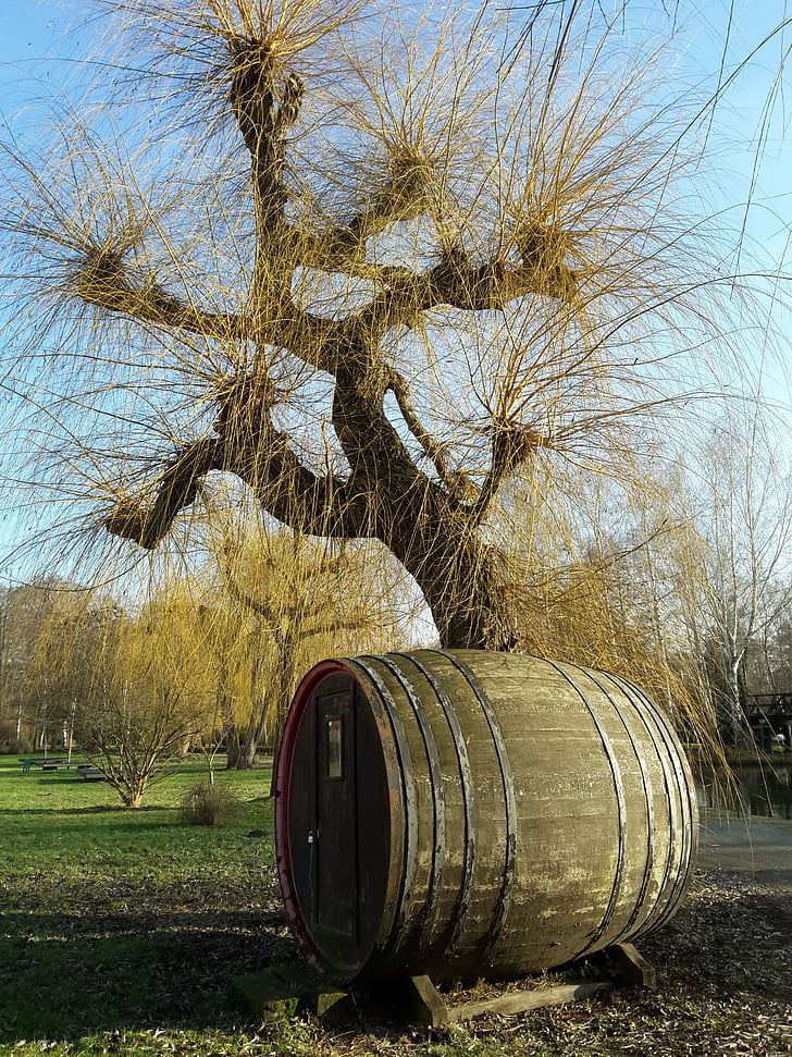 barril, barril de pepinos, pasto, Spreewald, árvore, ao ar livre