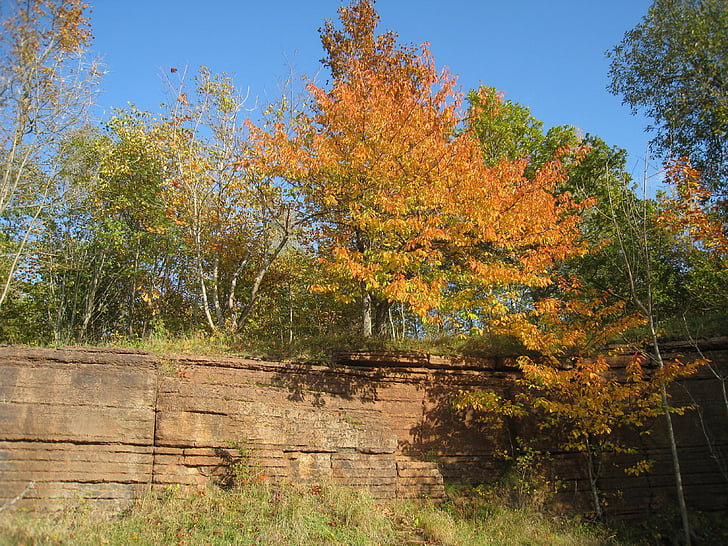 naturaleza, Suecia, árbol, otoño, cantera de piedra caliza
