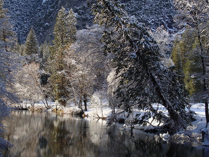 Les, jezero, Příroda, Národní park, Národní parky, Spojené státy americké, Yosemite