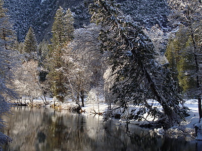 gozd, jezero, narave, National park, nacionalni parki, ZDA, Yosemite