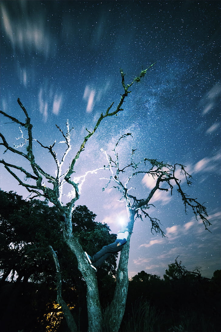 long-exposure, night, person, sky, stargazing, stars, time lapse