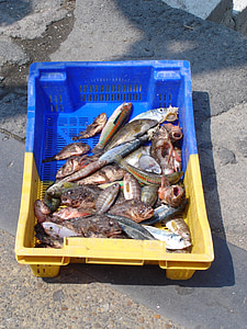 pesca, peixe, Porto, comida, docas, pesca tradicional, água