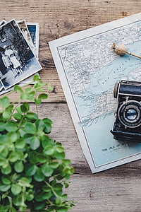 camera, vintage, plant, map, flat lay, retro, old-fashioned