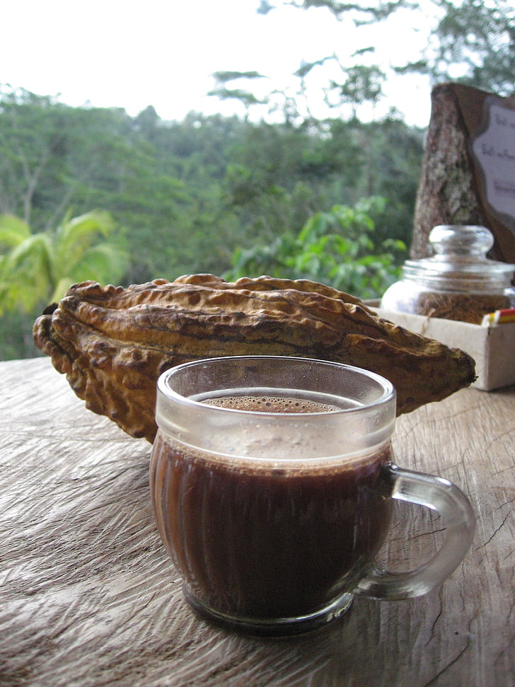 Bali, kaffe, cacao, dryck, brun, Cup, mat