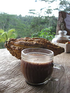 巴厘岛, 咖啡, 可可, 饮料, 棕色, 杯, 食品