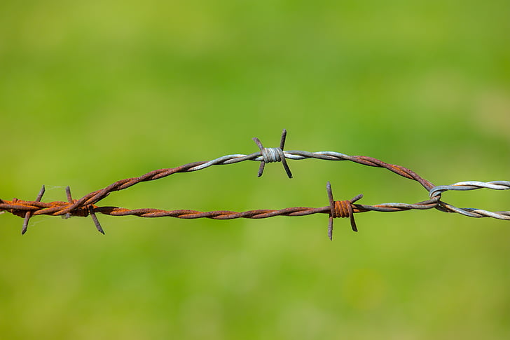 barbed wire, fence, stainless, wire, pasture, meadow, rusty