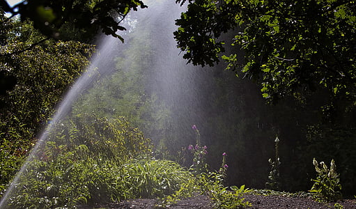 sprinkler watering, woodland, garden, watering