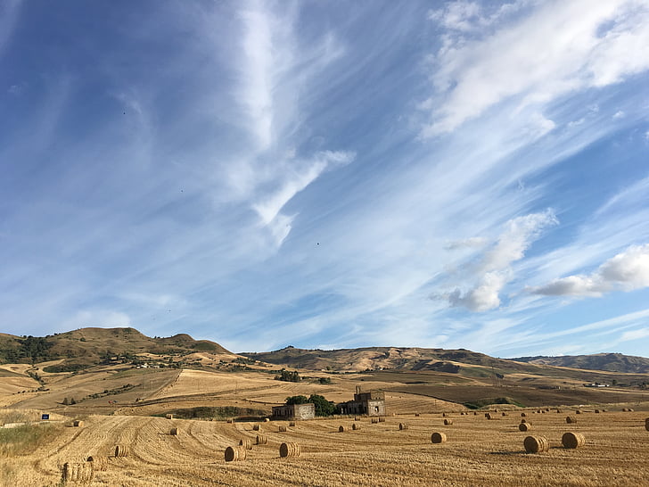 Sicílie, pšenice, krajina, obloha, zemědělství, kampaň, mrak