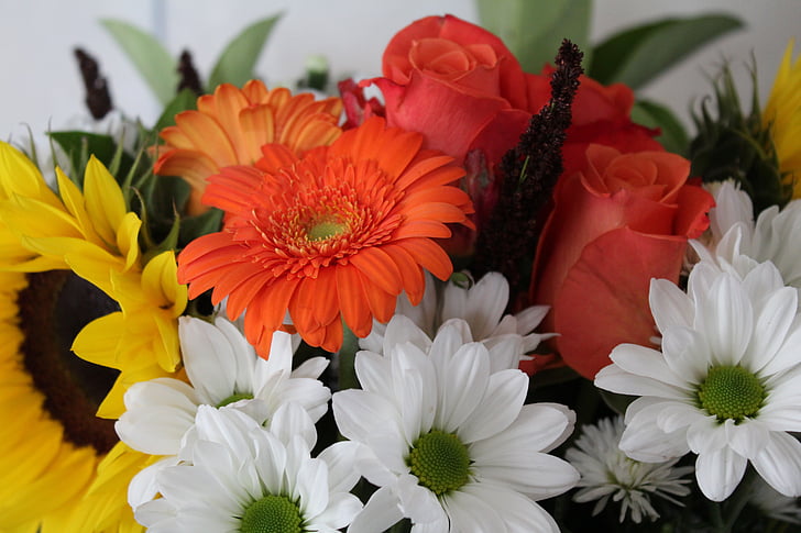 λουλούδια, μπουκέτο λουλούδια, μπουκέτο, floral, μπουκέτο με λουλούδια, δέσμη, φυτό
