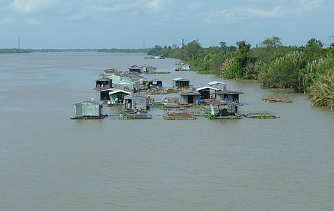 Vietnam, Aziji, reka, Mekong river, tropih, tropskih, živeti