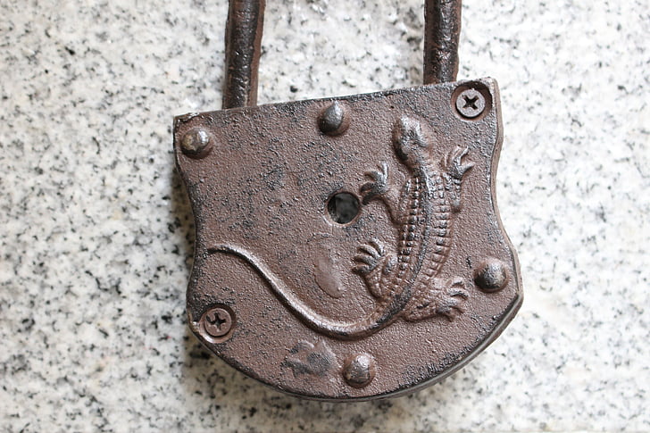 padlock, iron, rust, gecko