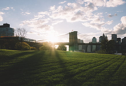 buildings, bridge, trees, lawn, grass, unites states, new york