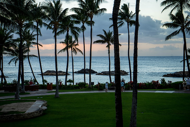 günbatımı, Hawaii, Oahu, palmiye ağaçları, plaj, okyanus, Hawaii beach