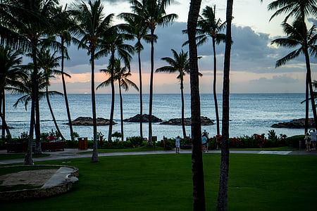 Západ slunce, Havaj, Oahu, Palmové stromy, pláž, oceán, Hawaii beach