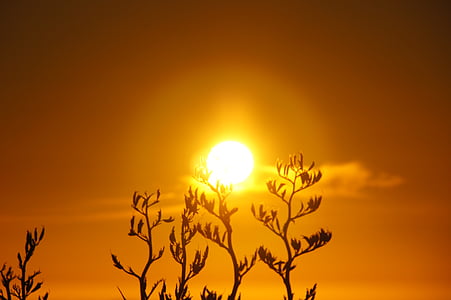 Sunrise, slnko, tráva, clony, Orange, Sky, Svetelný efekt