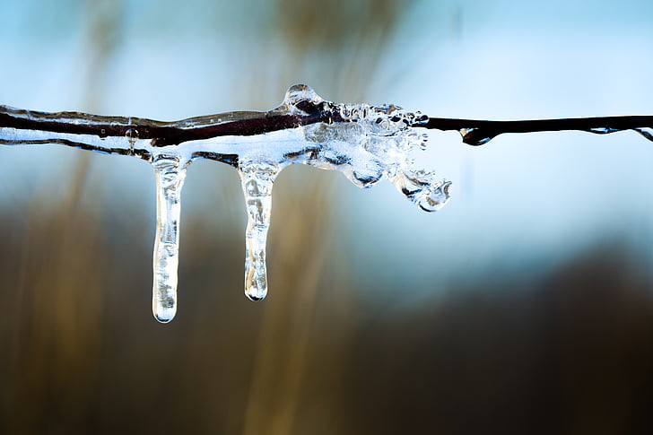 icicle, winter, ice, frozen, cold