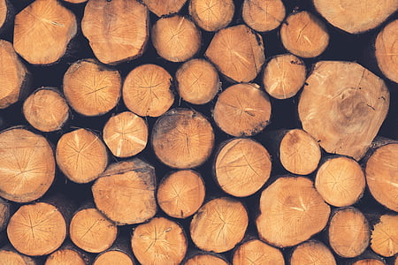 marrom, logs, madeira, pilha de log, empilhamento, registro em log, pilha