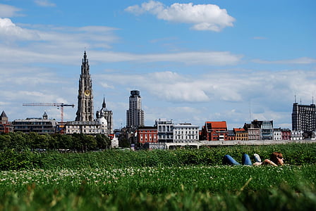 Antwerpia, Belgia, Skyline, łąka, trawa, Katedra, Architektura