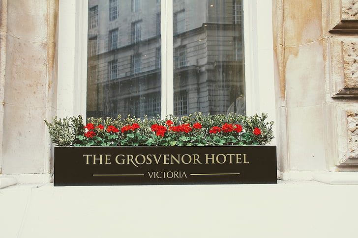 a Hotel, Grosvenor hotel, Victoria, London, tükrözés, virágok, Victoria station