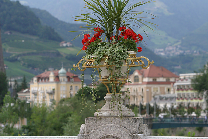 Meran, Južna Tirolska, Italija, pogled, Dolomite, Tihožitje, cvetje