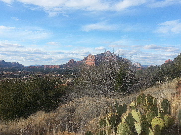 Sedona, Arizona, Roche Château, roches rouges, désert, Cactus, Sky