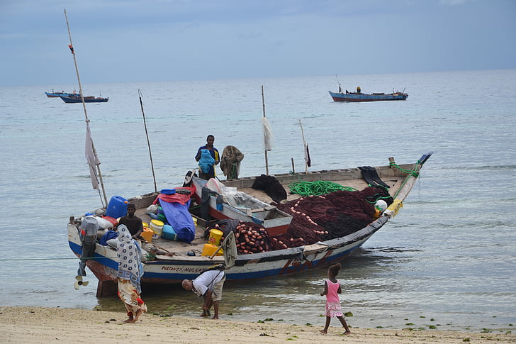 Zanzibar, škorenj, morje, Fischer