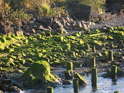 rocce, muschio, verde, natura, paesaggio, pietra, fiume