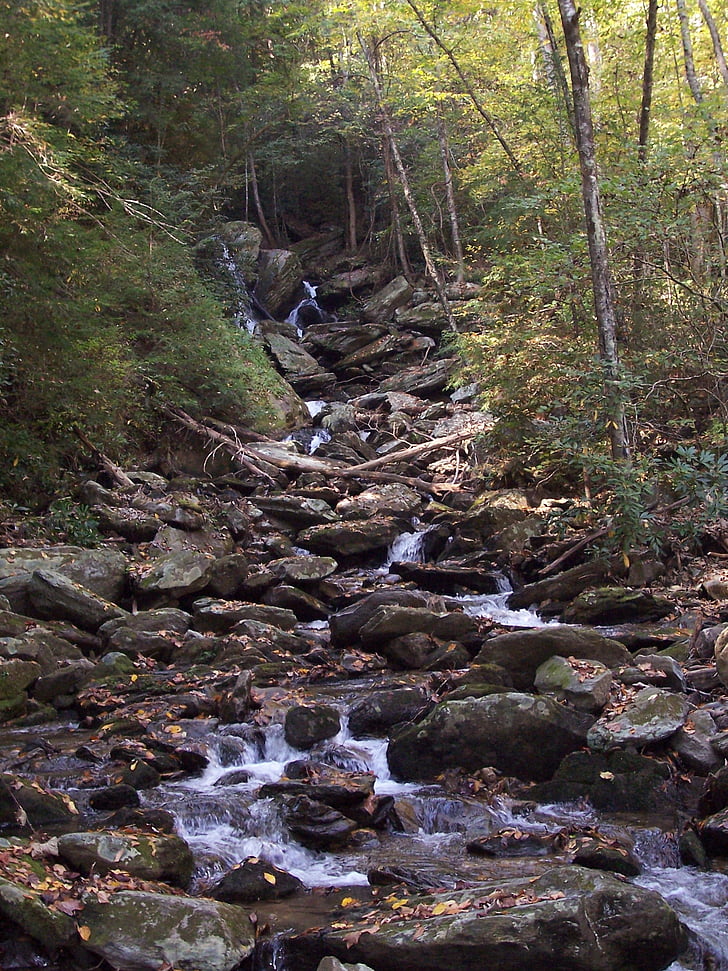 waterfall, north carolina, nature, stream, forest, tree, outdoors