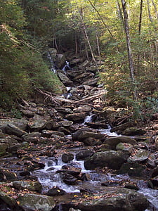 Cachoeira, Carolina do Norte, natureza, fluxo, floresta, árvore, ao ar livre