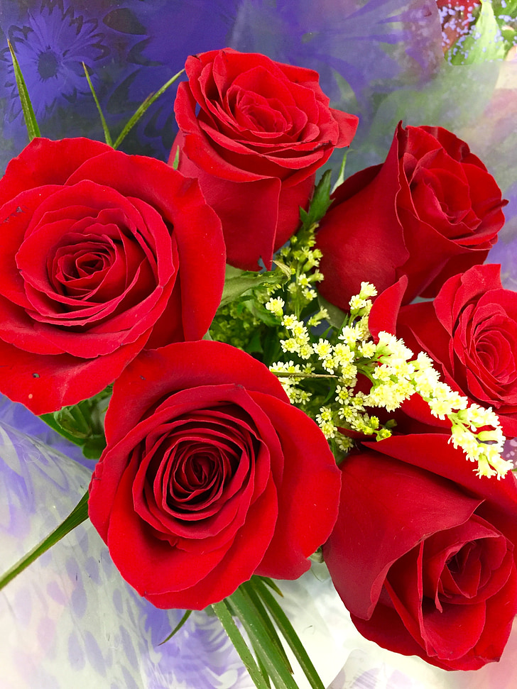Rose, fiori rossi, bouquet