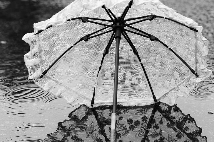 skėtis, skėtis, vandens, lietus, atspindys, vasaros